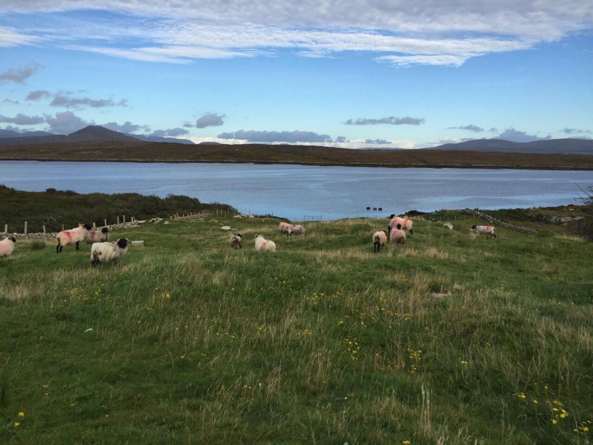 Apartamento At Island Cottage, Inishnee, Roundstone Galway